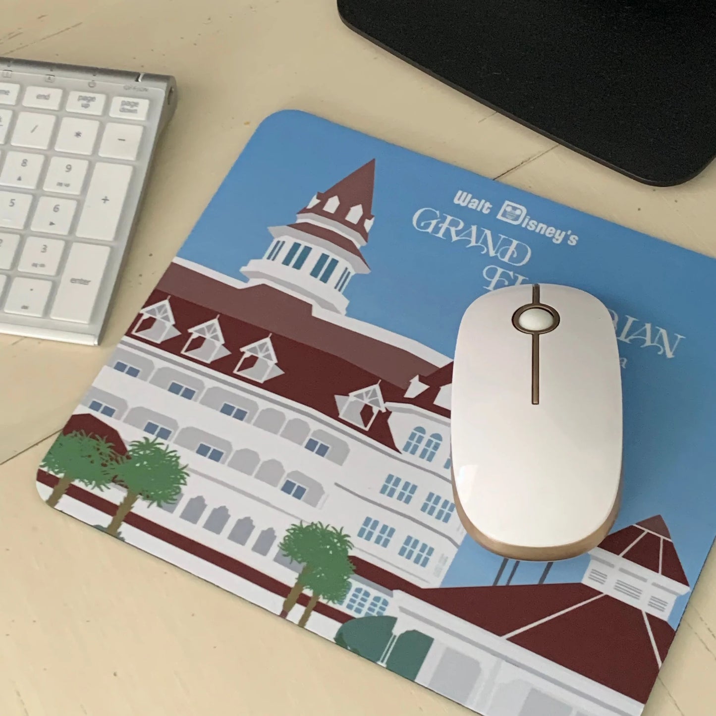 Disney Resorts Mousepads