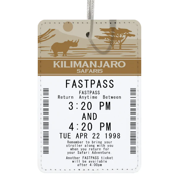 FASTPASS Luggage Tags- CUSTOMIZED!